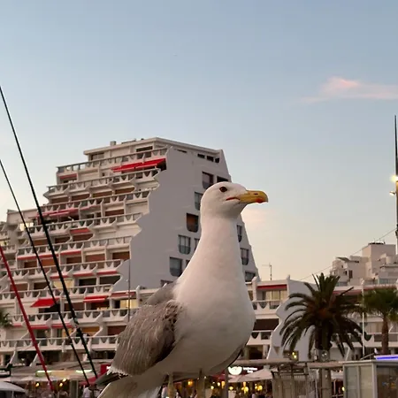 4 Pers Bord De Parking Inclus La Grande Motte
